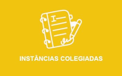 Imagem das Instâncias Colegiadas